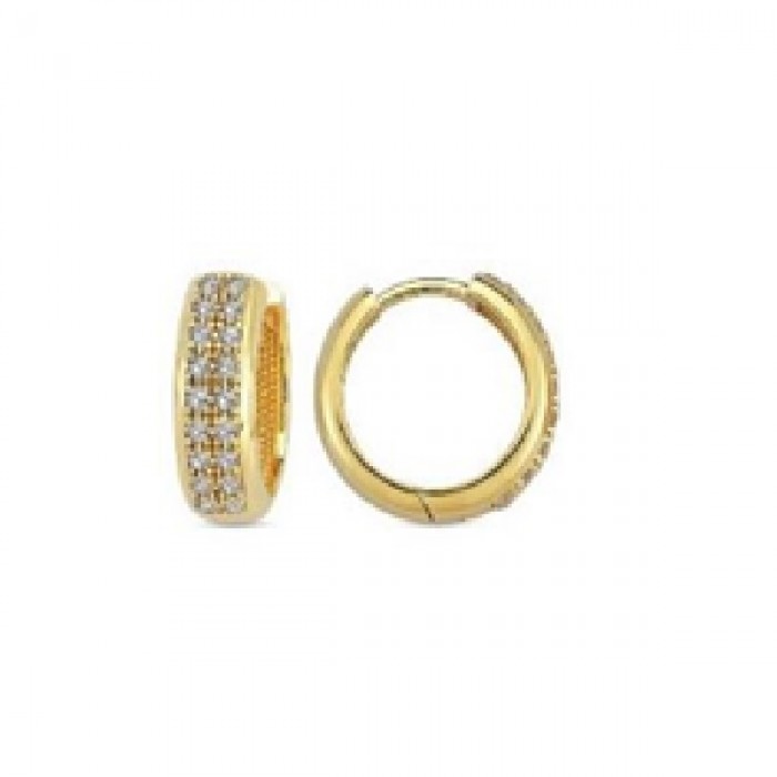 14 K Gold Zircon stone Earring 2,88 gr 