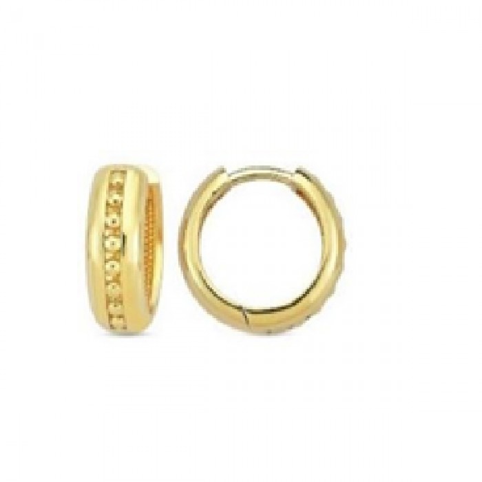 14 K Gold Zircon stone Earring 2,92 gr 